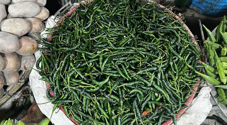 ফরিদপুরে হঠাৎ মরিচের কেজি ২৪০ টাকা